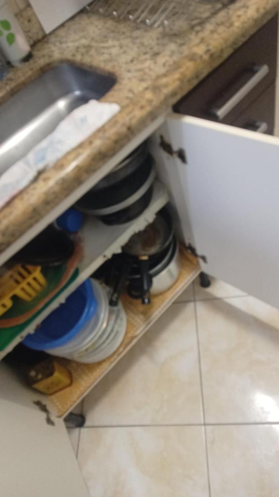 Apto A 50M Da Praia, Com Ar Condicionado, Wifi , Portaria 24H Praia Grande  Kültér fotó